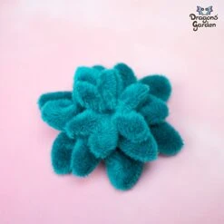 ITH Elegant Flowers Embroidery Pattern(Ith Elegant Flowers Embroidery Pattern) -Dragons' Garden Dragons Garden succulentflower1