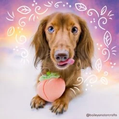 ITH Peach Charm Pattern(Ith Peach Charm Pattern) -Dragons' Garden ith peach charm pattern pattern dragons garden 880519